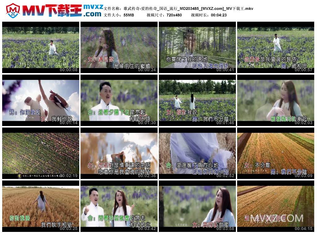 歌武传奇-爱的传奇_国语_流行_MD203485